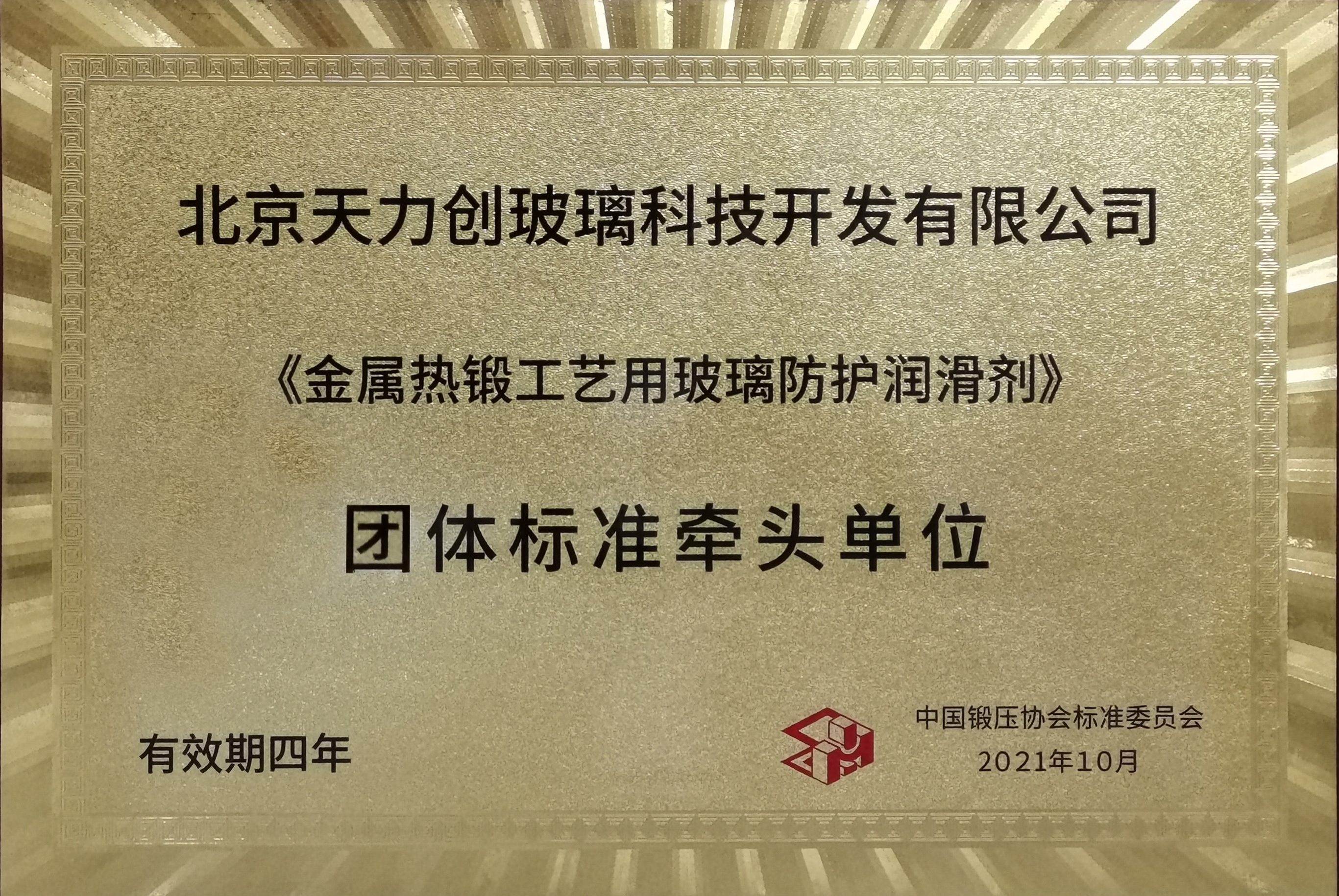 团体标准牵头单位证书