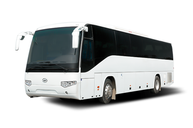 KLQ6119T