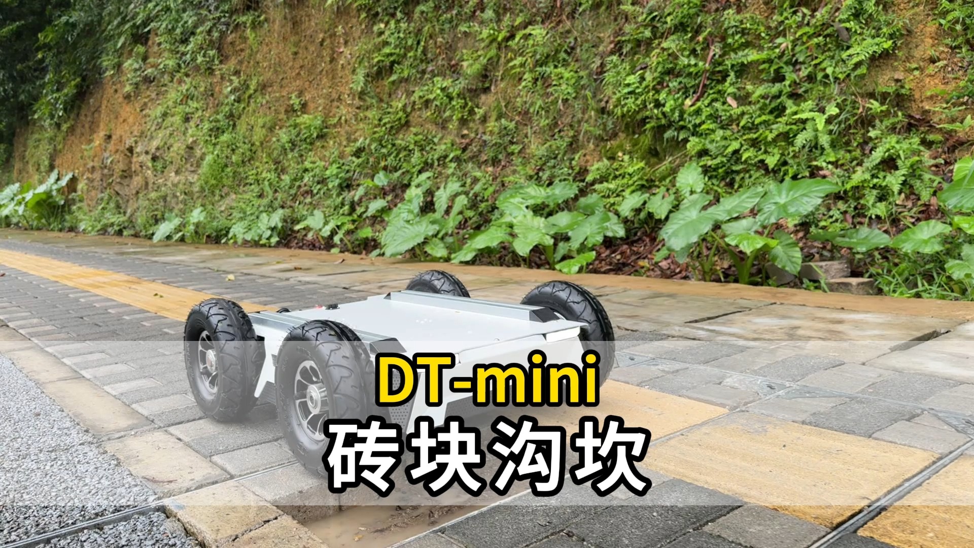 DT-mini砖块