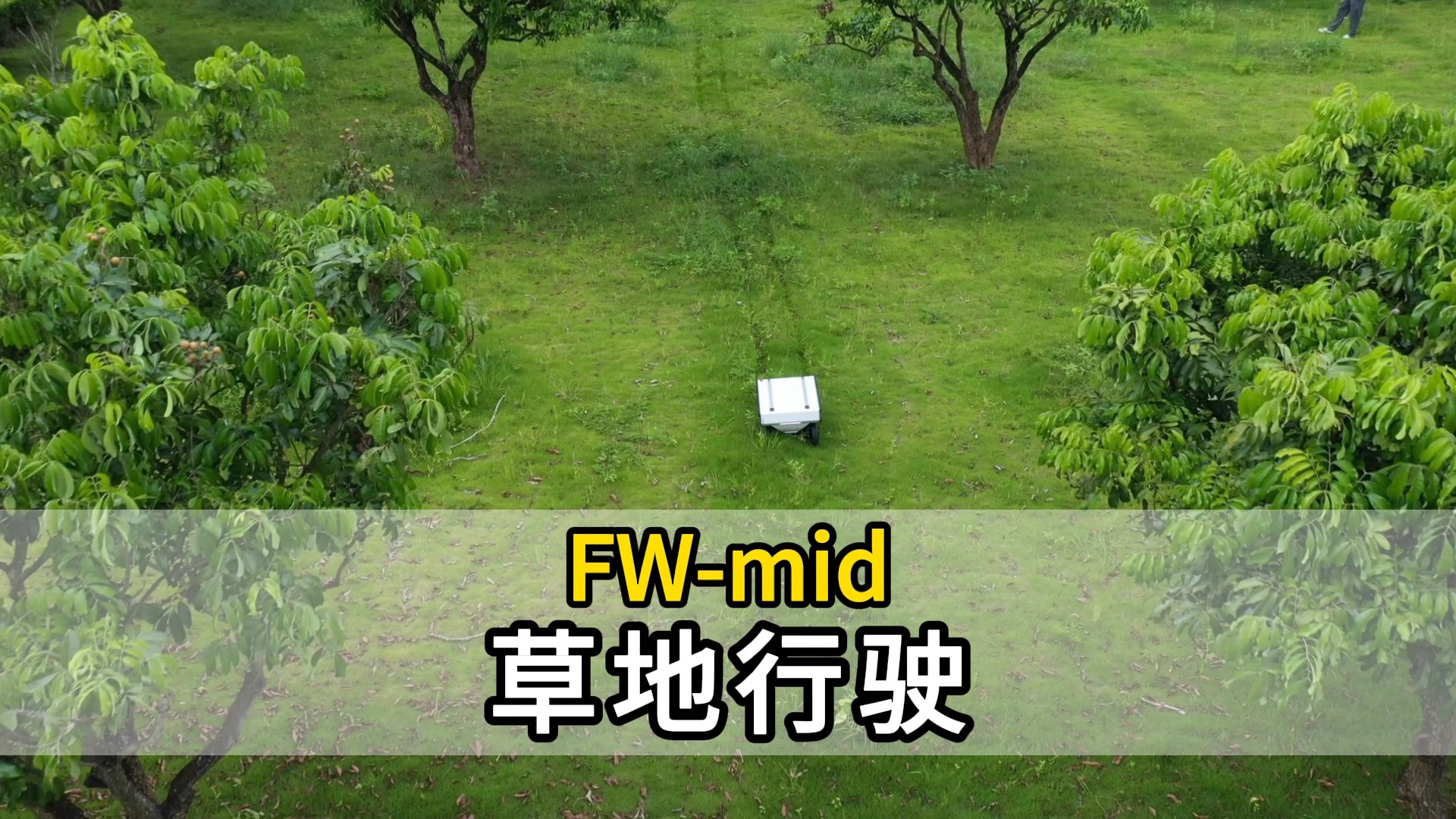 FW-mid草地行驶